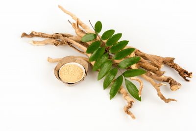 long jack leaves and roots