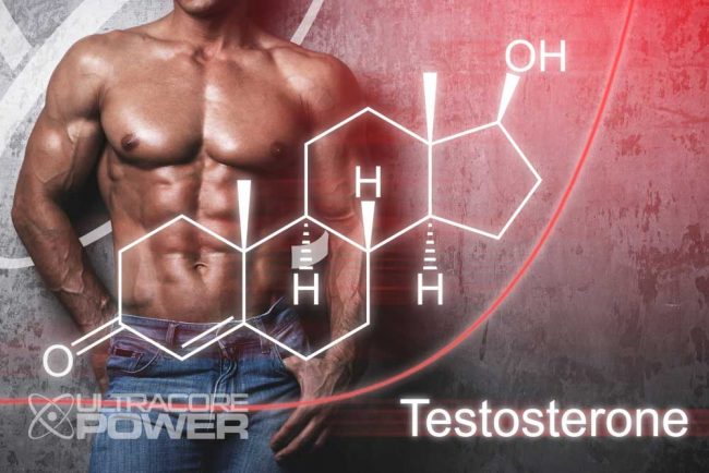 testosterone levels