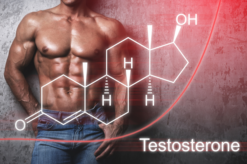 Can Testosterone Cause Weight Gain? UltraCorePower