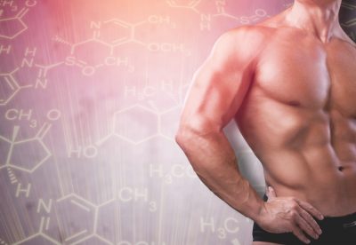 testosterone and muscles