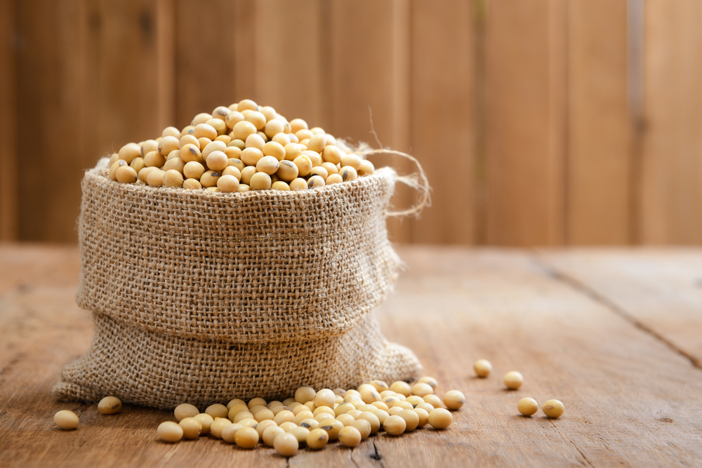 Does Soy Lower Testosterone?