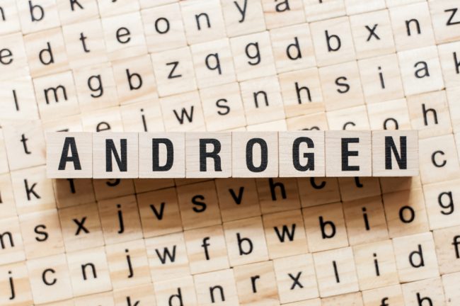 androgen