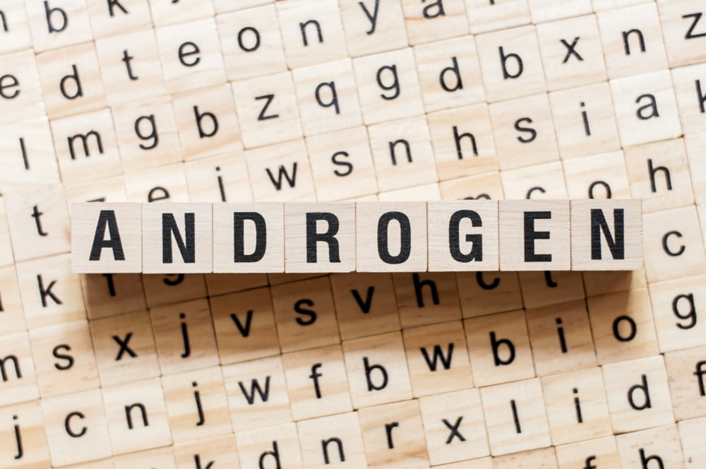 How Do Androgens Affect the Human Body?