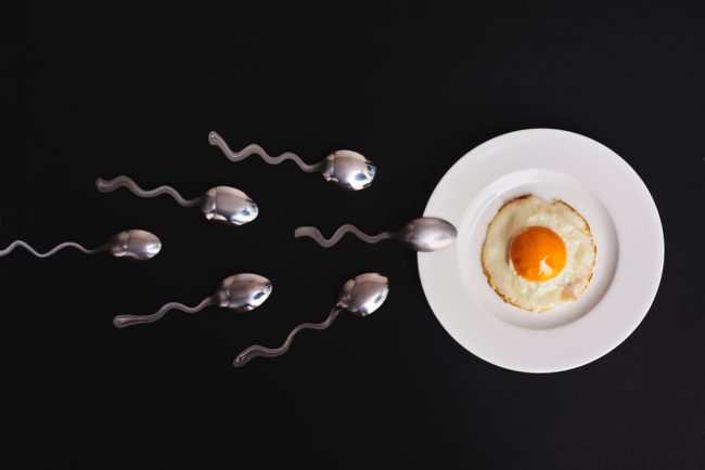 spoon sperm egg