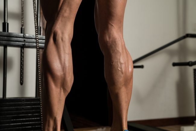 calf muscles