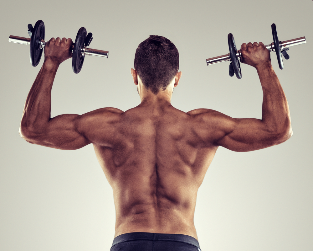 Best Back Workouts