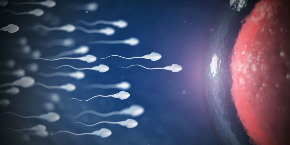 7 Proven Ways to Increase Male Fertility